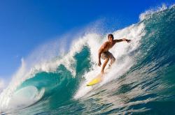 德甲转会风云：波尔图盯上锋线强援，胡金秋或成交易筹码(先锋领航属于哪个家族)